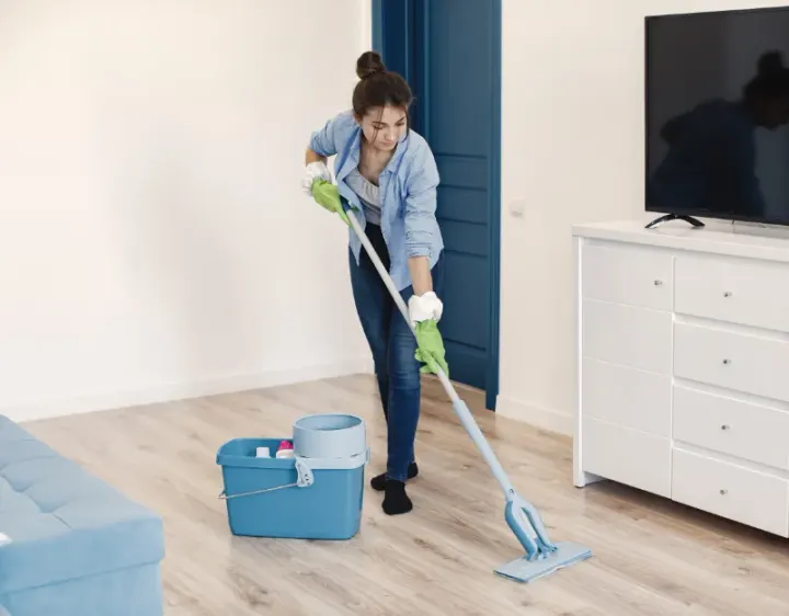 Femme de ménage Truyes